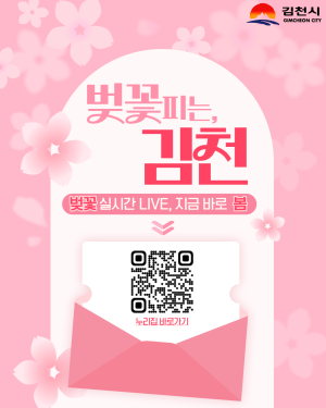 김천시, ‘벚꽃 실시간 Live’ 서비스 운영…개화 상황 한눈에
