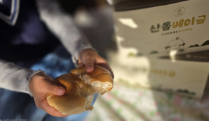 경북도 두쫀쿠 말고 산돌배, 디저트 판도 바꾼다