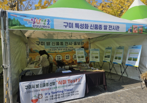 구미시, 지역 맞춤형 벼 신품종 `일선진미` 국립종자원 등록 확정