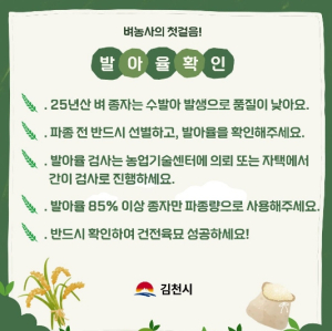 김천시, 수발아 피해 대비 벼 종자 발아율 검사 추진
