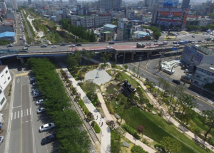 도심에 녹색을 채우다! 경북도, 297억 원 투입 도시숲 조성