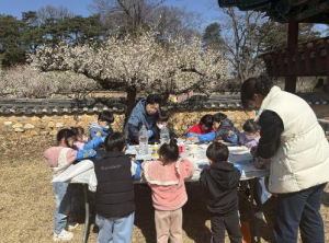 성주군, 회연서원 백매원 봄 관광명소로 ‘우뚝’… 3천여 명 발길