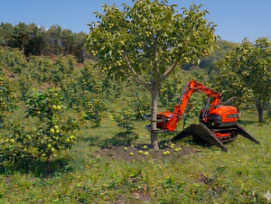 김천시, AI 임산물 수확로봇 개발 국비 50억 확보