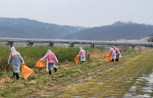 군위군 군위읍 산불감시원, 벚꽃철 맞아 환경정화 활동 전개