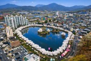 김천시, ‘연화지 벚꽃축제’ 30만 상춘객 몰려…3無 전략으로 흥행 대성공