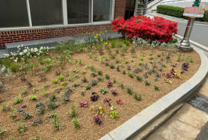 대구도시개발공사, 임대단지 환경 개선