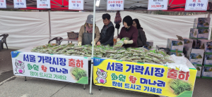 달성군 화원 참미나리, 서울 가락시장 31.8톤 완판 흥행