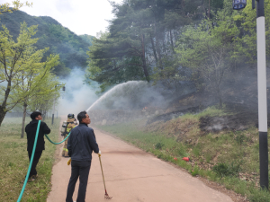 영덕군 창수면, 야산서 화재…당국 진화 작업 중