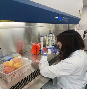 대구시, 봄 신학기 학교급식 ‘식중독균 불검출’… 식판 위 안전 확인