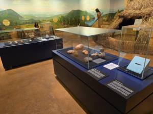 의성조문국박물관, 초기 철기시대 유물 새롭게 전시