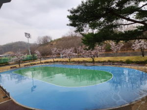 김천시시설관리공단, 종합스포츠타운 시설 활성화에 따른 개방 운영 추진