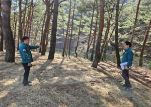 영양군, 하천·계곡 집중 점검....“불법 점용 근절, 현장에서 답 찾는다”