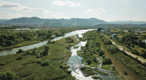 대구 동구, ‘안심습지 생태 탐방’ 운영… 어린이 환경교육 강화