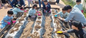 영덕군, 어린이 농부학교 개강… “흙에서 배우는 생명 가치”