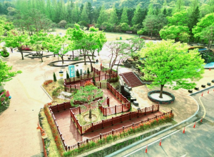 문턱 낮춘 구미…‘무장애 도시’로 시민 일상 바꾼다