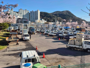 문경시, 축산농가 풀사료 3천t 공급… 경영 부담 완화 나서