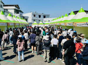 문경시, 점촌점빵길 ‘빵 축제’ 열린다… 체험·공연 결합 지역상권 활력 기대