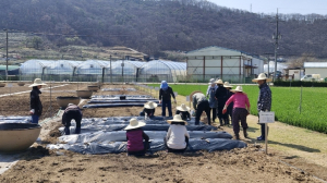 군위군, 치매환자 ‘치유농업’ 운영… 인지·정서 회복 지원