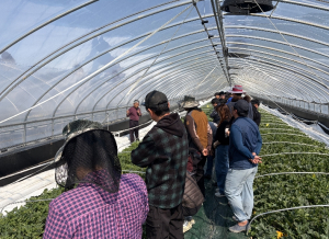 성주군, ‘참외과정 농업인대학’ 현장교육 강화…고품질 생산 기반 다진다