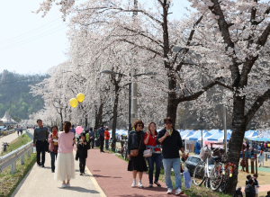 의성군, ‘남대천 벚꽃축제’ 성황… 가족형 체류 관광 가능성 확인