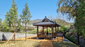 대구 동구, 도동 측백나무숲 생태복원 완료… 자연·교육 공간 탈바꿈