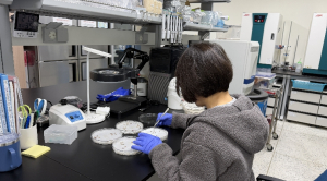 구미시, 벼 파종기 앞두고 발아 이상 대응…안전육묘 관리 총력