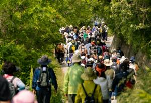 영주시, 봄철 걷기 명소 ‘동서트레일 영주 구간’ 주목