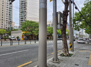 대구 북구, 불법 광고물 부착방지제 도포