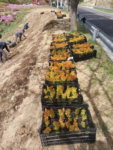 경산시, 갓바위 가는 길목 새단장… 와촌면, 오아시스공원 경관 개선 나서