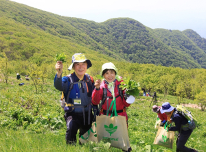 영양군, ‘산나물축제’ 5월 7일 개막…체류형 관광으로 진화