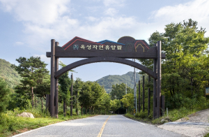 구미옥성자연휴양림, 반려동물 동반객실 조성