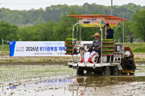 영주시, 8‧15 광복쌀 올해 ‘첫 모내기’ 실시