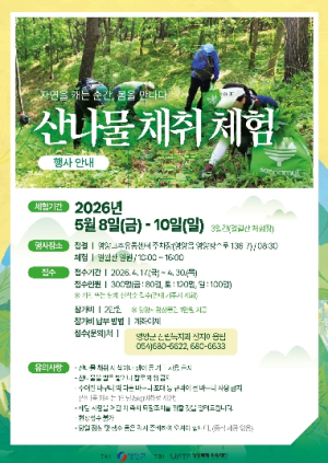 영양군, 일월산서 봄을 캔다…산나물 직접 채취 체험 인기 예고