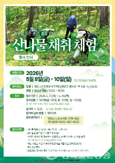 영양군, 일월산서 봄을 캔다…산나물 직접 채취 체험 인기 예고