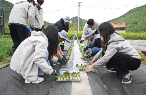 ’ 청도군정신건강복지센터,‘ 도팜인(桃FARM人)’운영