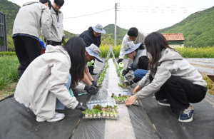 ’ 청도군정신건강복지센터,‘ 도팜인(桃FARM人)’운영
