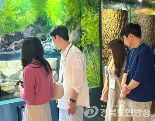 숲속에서 피어난 인연, 울진군 커플 매칭 캠프 인기