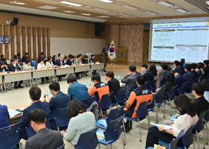 고령대가야축제, 젊어진 관광객·높아진 재방문율… 글로벌 축제 도약 시동