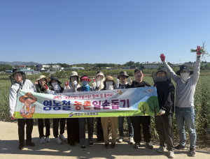 영천시 가족행복과, 영농철 맞아 농촌 일손돕기 나서