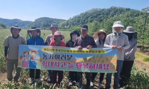 영천시 홍보전산실, 영농철 맞아 농촌 일손돕기 구슬땀
