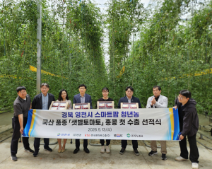 “스마트팜에서 키운 영천 토마토, 홍콩 식탁 오른다”