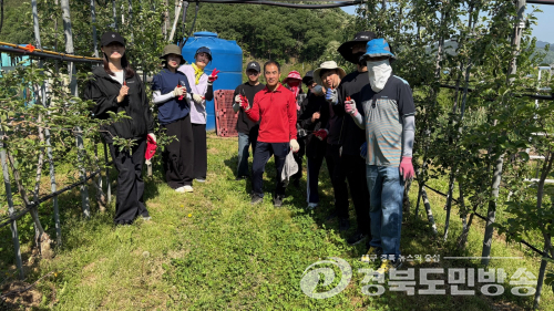 군위군 효령면, 봄철 농촌일손 돕기 구슬땀