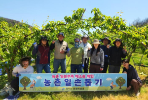 영덕군 환경위생과, 농번기 농촌 일손돕기 봉사활동 펼쳐