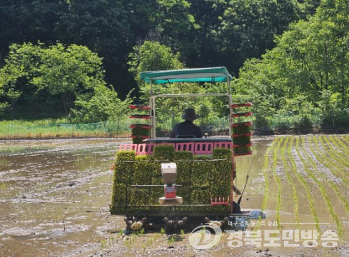 문경시, 벼 재배 농가에 육묘대 52억 원 지원… ha당 120만 원