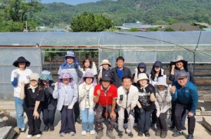 김천시 관광정책과, 복숭아 농가서 '구슬땀'…농번기 일손 돕기 나서