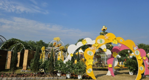 성주참외&생명문화축제에 펼쳐지는 '노란 물결'…성주군, 참외힐링공원 운영