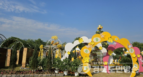 성주참외&생명문화축제에 펼쳐지는 '노란 물결'…성주군, 참외힐링공원 운영