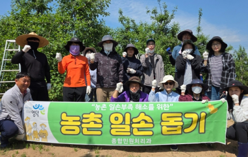 영덕군 종합민원처리과, 영해면 사과농가서 '구슬땀'…일손 돕기 총력