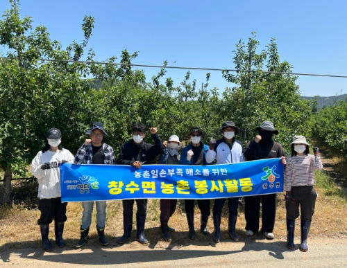 영덕군 창수면, 사과 농가 일손 돕기 ‘구슬땀’