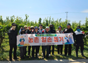 영덕군 시설체육사업소·체육회, 배 농가 찾아 농촌 일손돕기